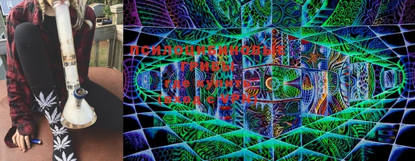 apvp Верхний Тагил